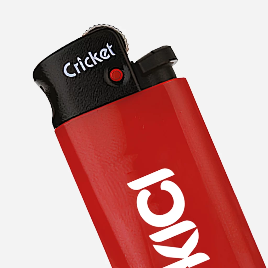 Cricket1
