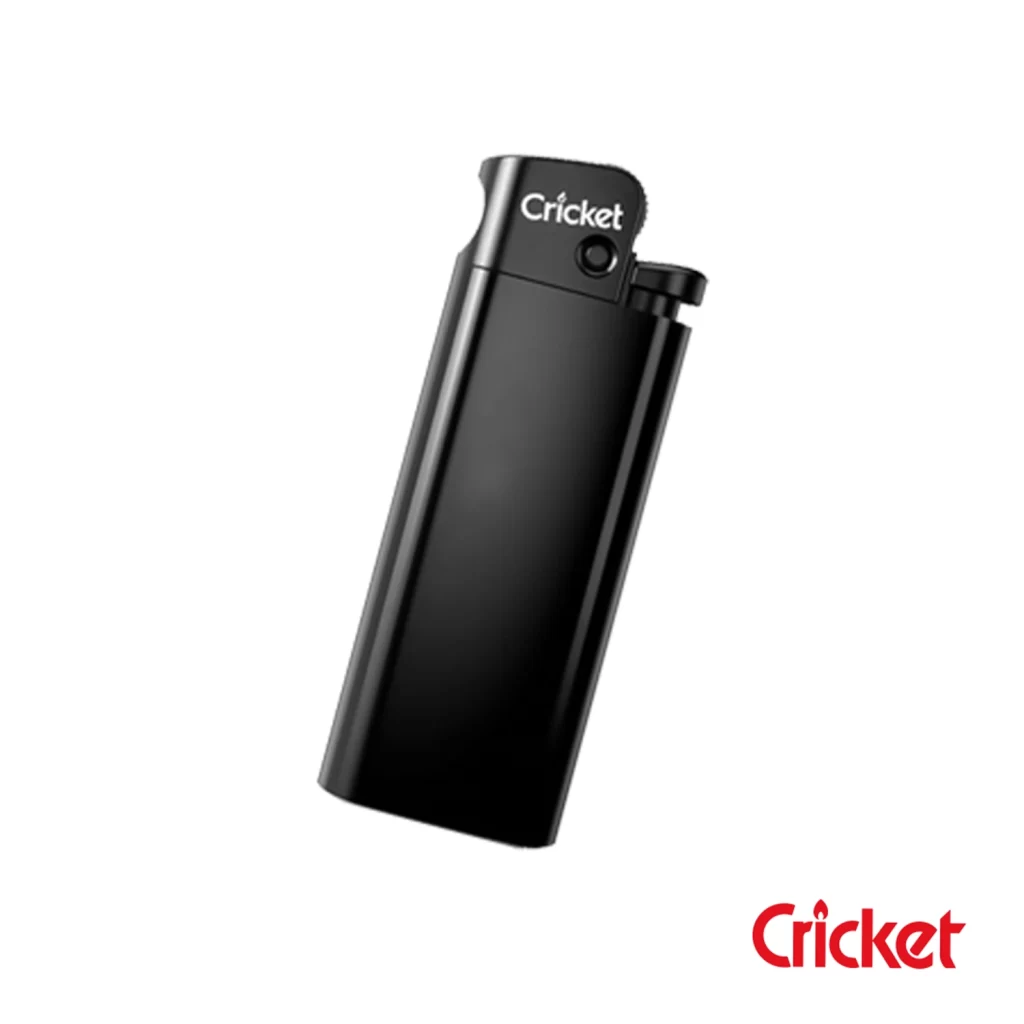 cricket2